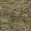 Multicam